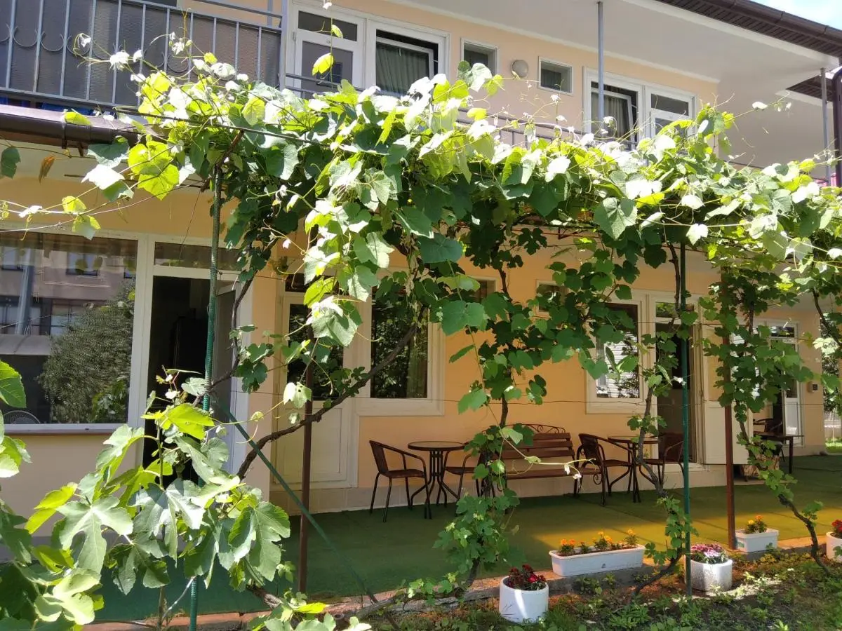 Красная Поляна: Guest house Artem