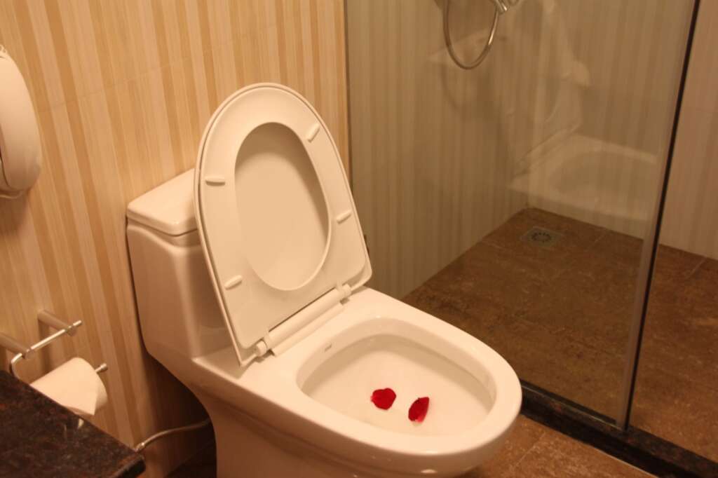 Ханчжоу: Hangzhou Bokai Westlake Hotel