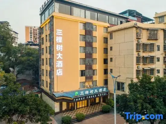 Гуйлинь: Guilin Sankeshu Hotel (Hongling Road Vientiane City)