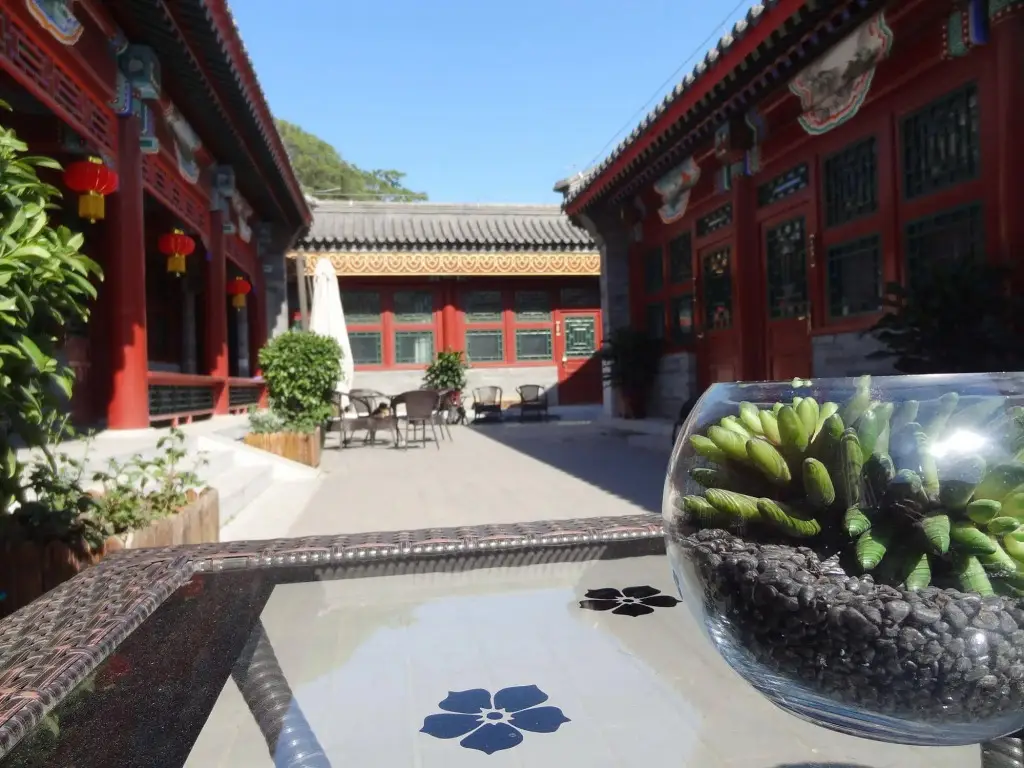 Пекин: Chang Yard Hotel