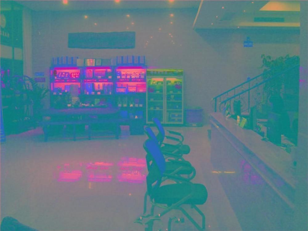 Сямынь: Kaho Spring Hotel