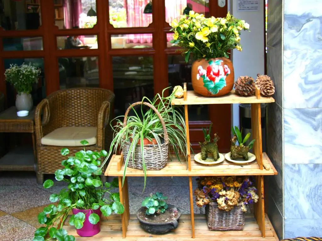 Дали: Dali Lao Shay Youth Hostel