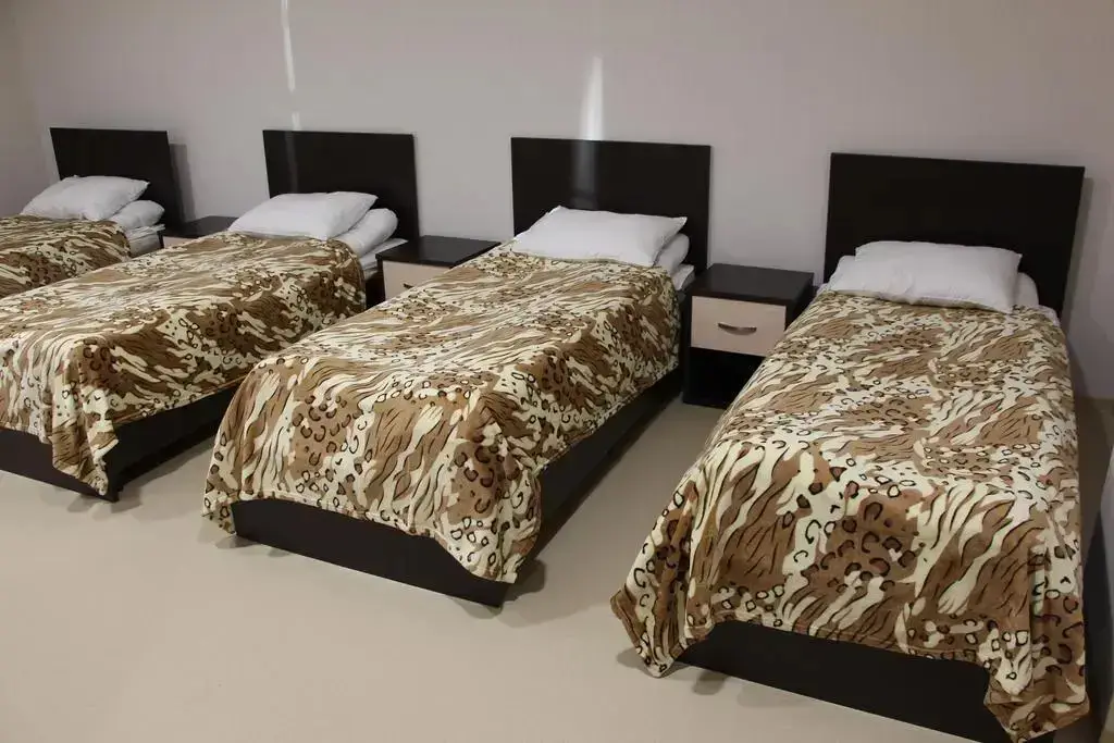 Пересвет: Hostel Yunior