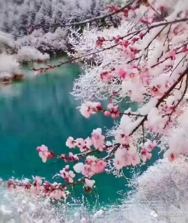 Цзючжайгоу: Jiuzhaigou Zhaozilong New Inn