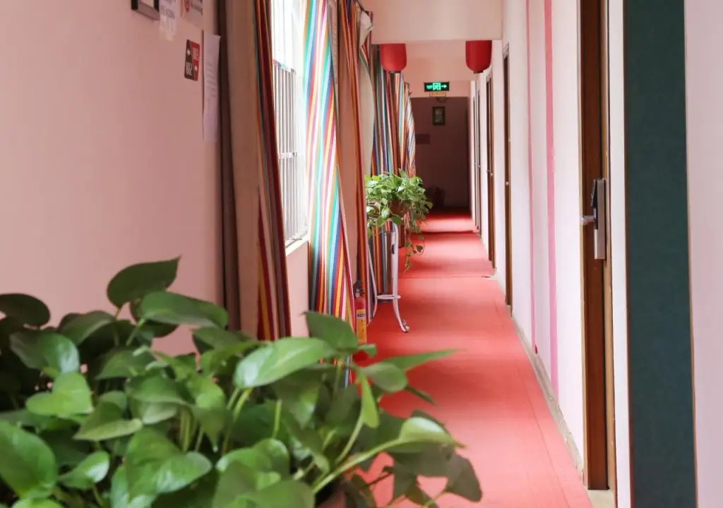 Куньмин: Kunming Lang Mei Youth Hotel