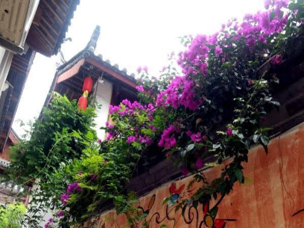 Лицзян: The Secret Garden Guest House