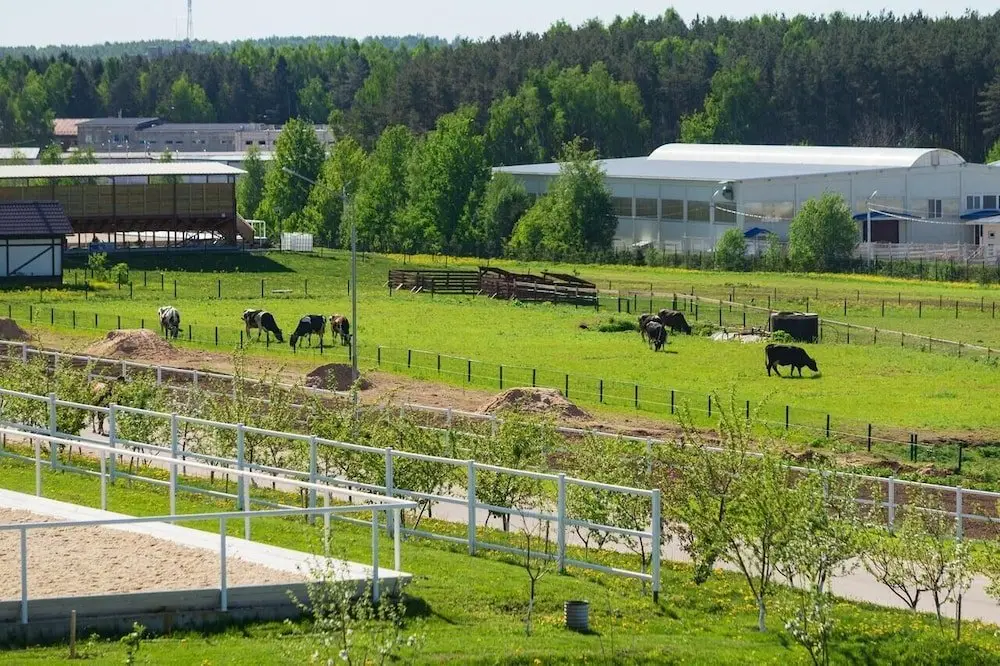 Горки Сухаревские: Отель Maxima Park