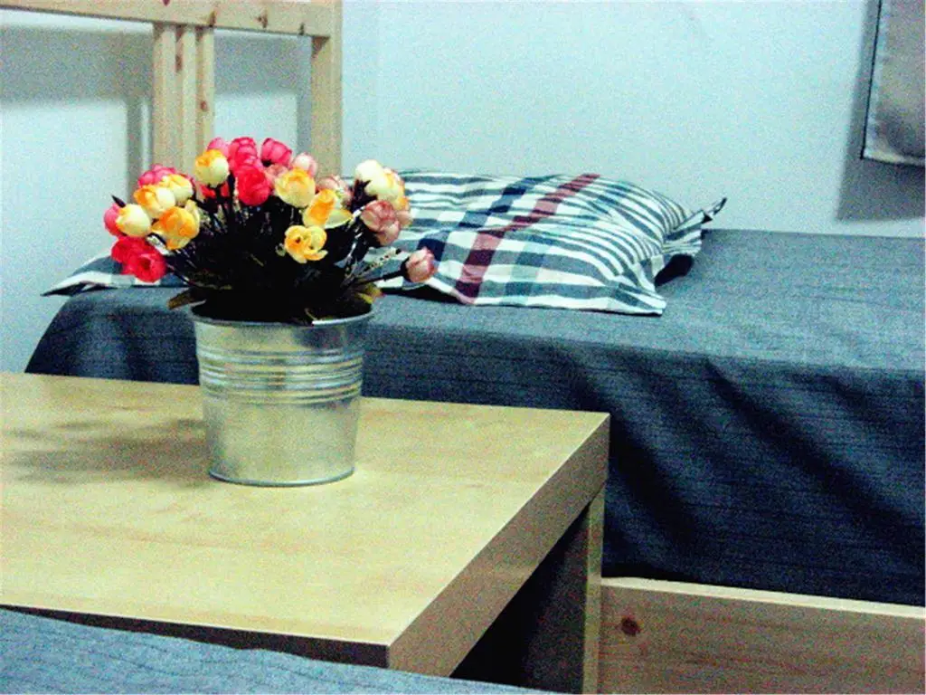 Тяньцзинь: Xikai Youth Hostel Tianjin