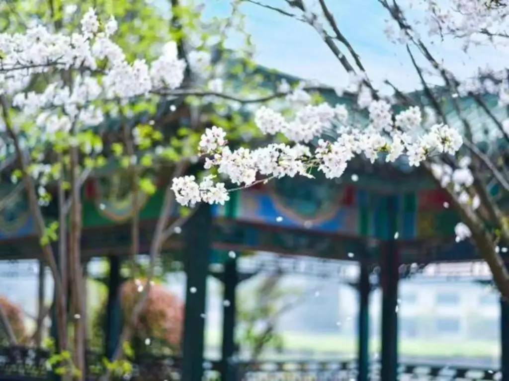 Ханчжоу: Taixuhu Holiday Hotel