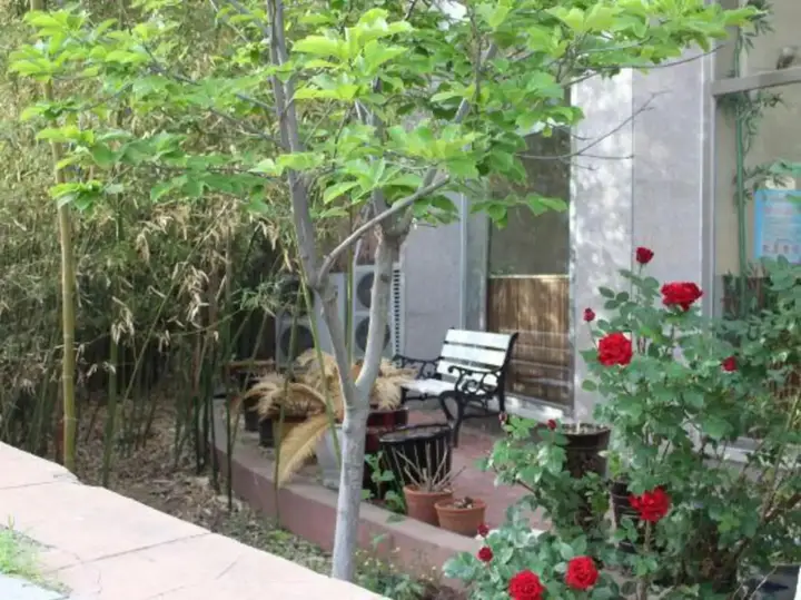 Далянь: Yikang Sakura Inn