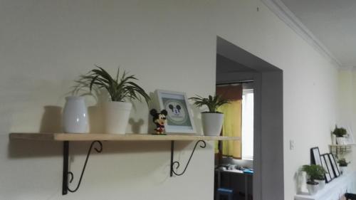 Пекин: Haoshe Female Guesthouse 798 Art District