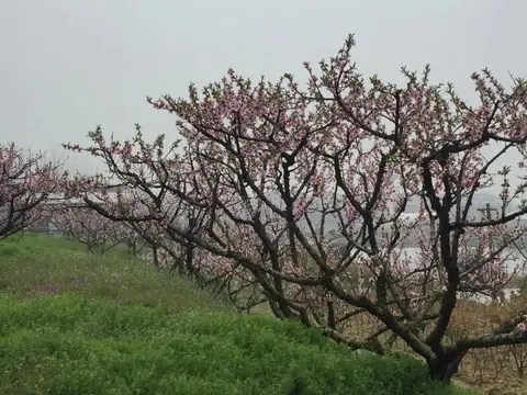 Yiwu Lihao Inn — фото 1