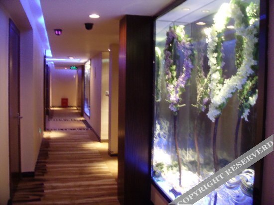 Иу: Sijiruili Hotel