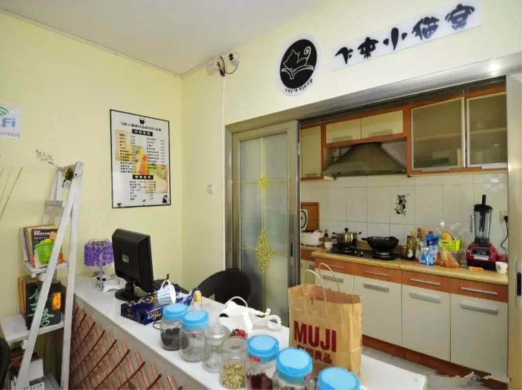 Куньмин: Kunming Cat Nest Female Youth Hostel