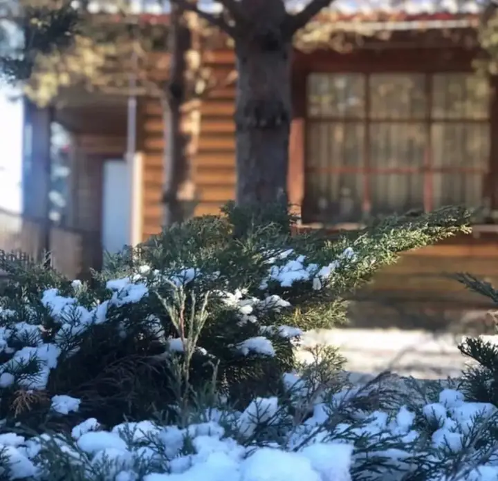 Курово: Отель Dmitrov Golf Resort