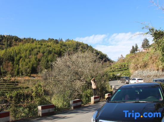 Жангжоу: Tulou Viewing Platform Inn