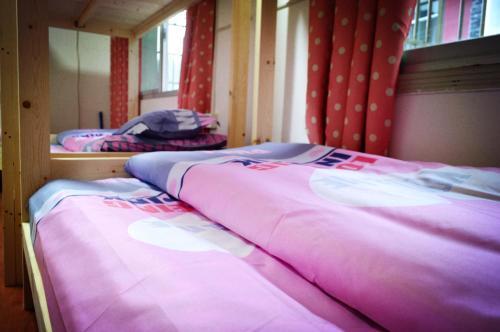 Чжанцзяцзе: TC Youth Hostel
