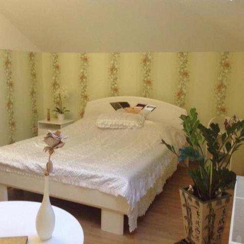 Вешки: Veshki Guest House
