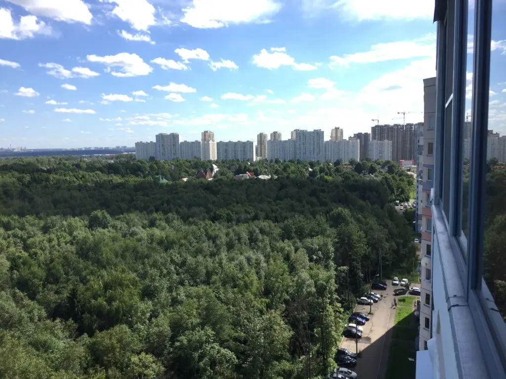 Одинцово: Апартаменты Истоман 2+2 с видом на Лес