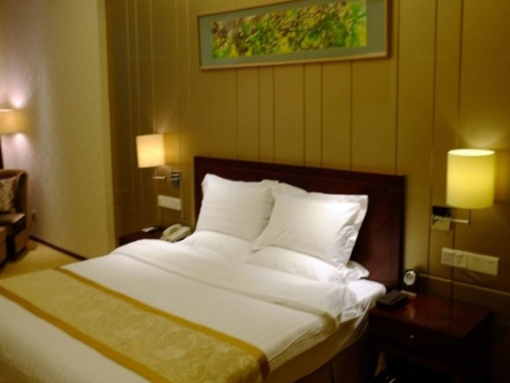 Нанкин: Dingding International Hotel