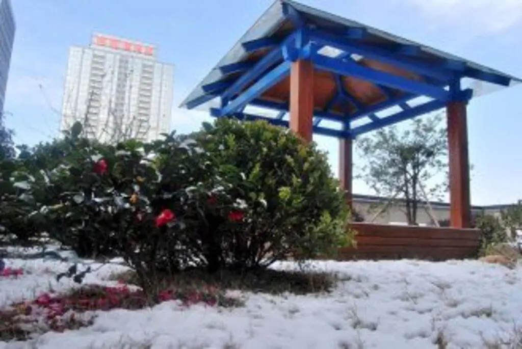 Ханчжоу: Hangzhou Yuelv Apartment Hotel