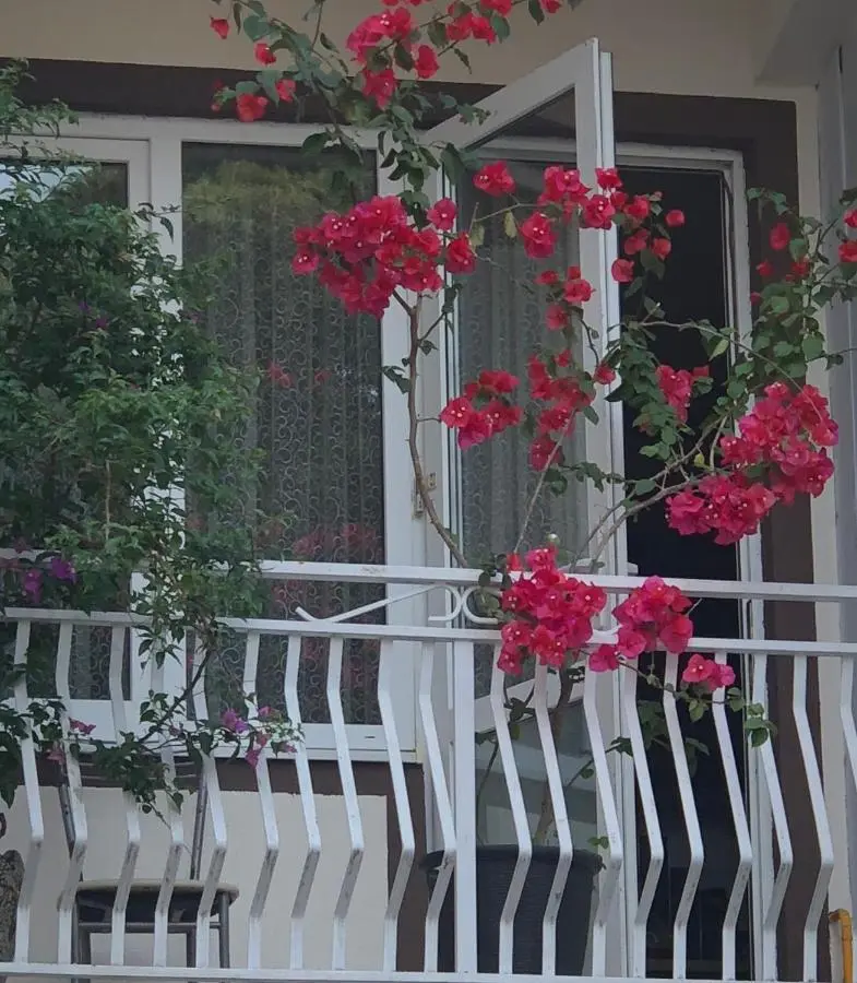 Красная Поляна: Galina Guest House