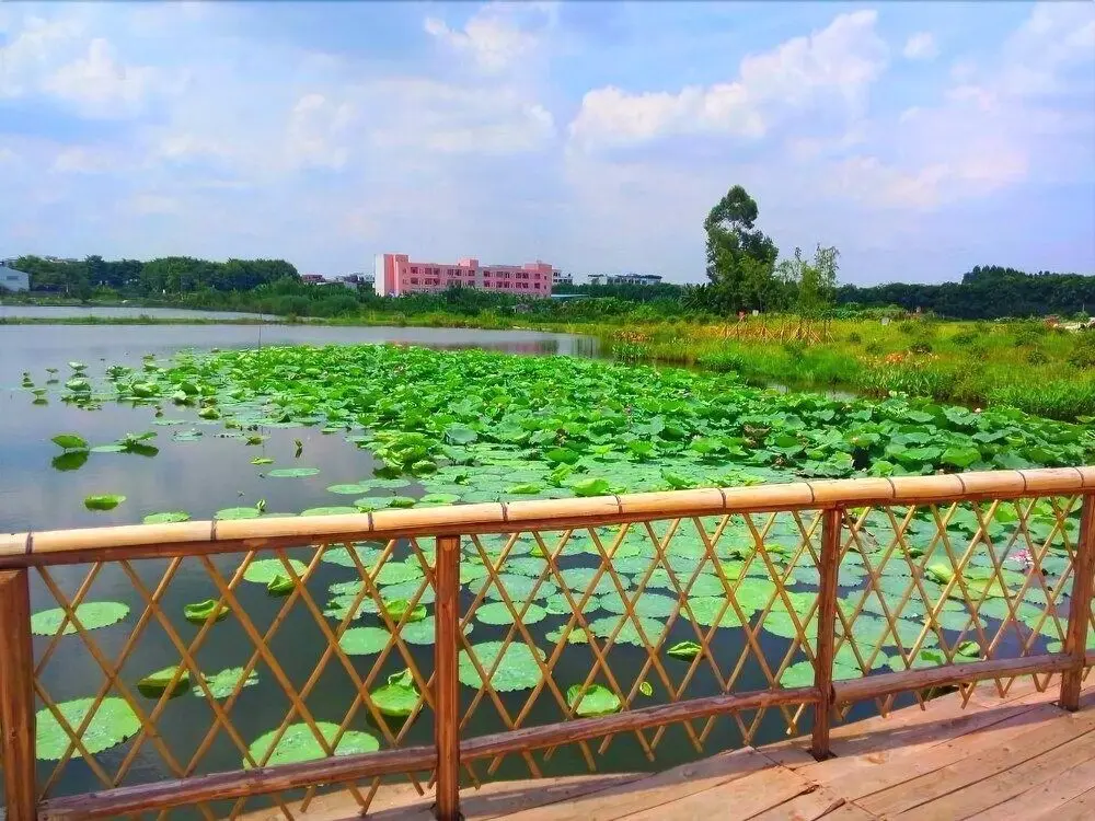 Гуанчжоу: Mingjunwei Hotel
