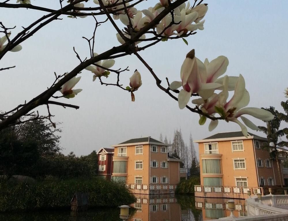 Чэнду: Tianlun International Hotel - Chengdu