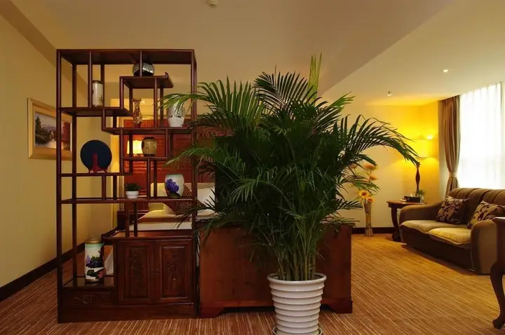 Чэнду: Chengdu Qiyuan Hotel