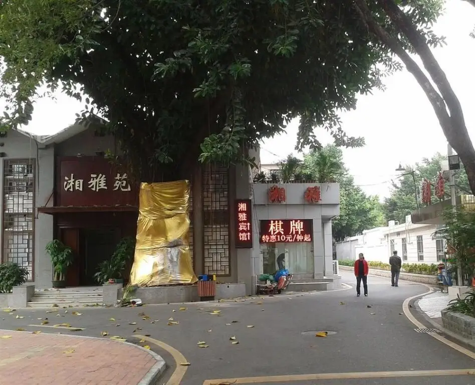 Шэньчжэнь: Xiangya Hotel