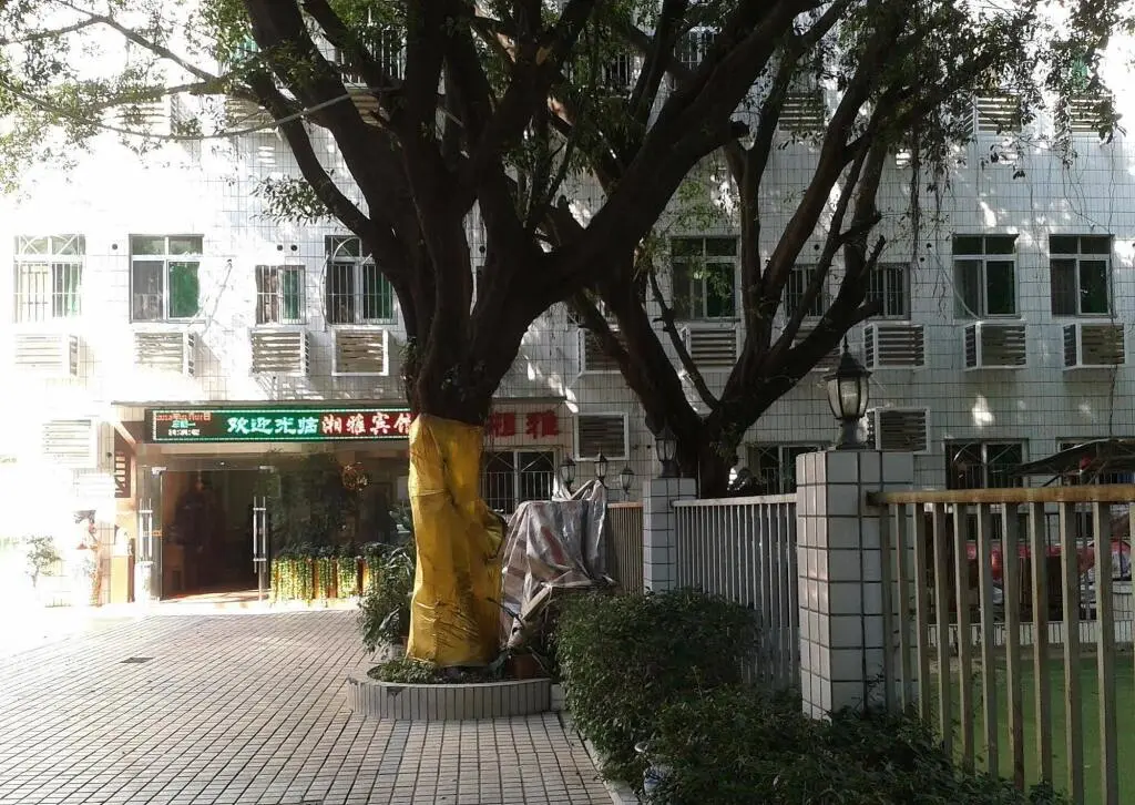 Шэньчжэнь: Xiangya Hotel