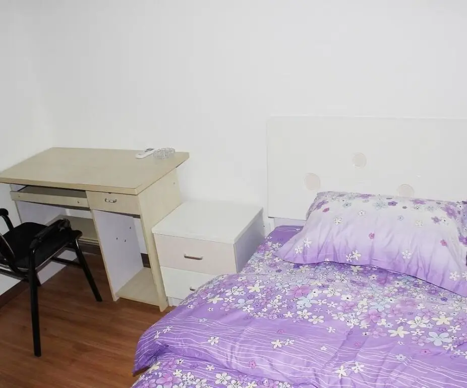 Чэнду: Shuxin Family Apartment