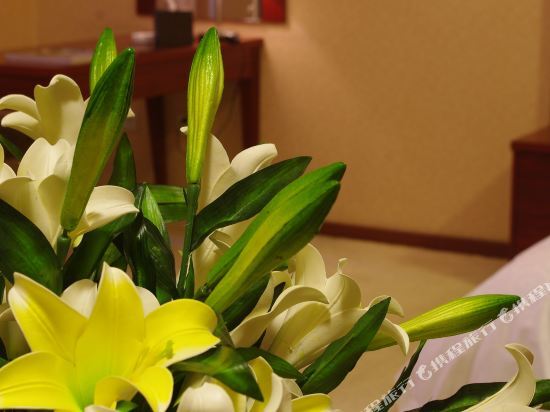Чэнду: Xiyue International Boutique Apartment