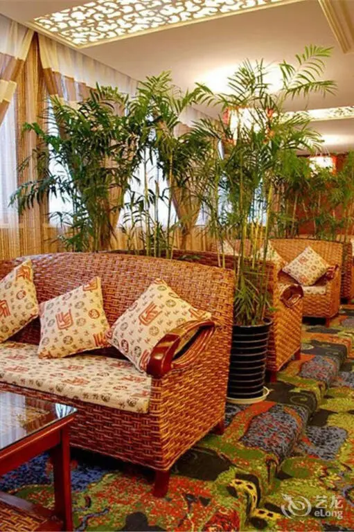 Чэнду: Super 8 Collection Hotel (Chongzhou Government Center Square)