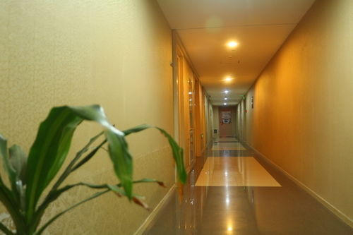 Циндао: Qingdao Noah Tourist Apartment (CBD Wanda Plaza)