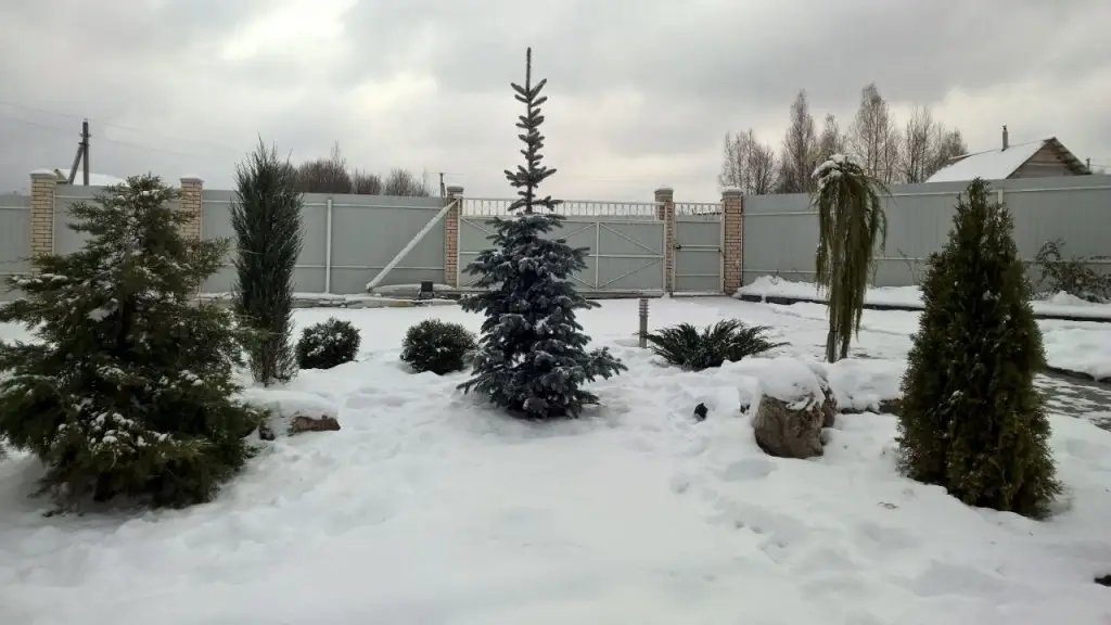 Волоколамск: Коттедж Маяк