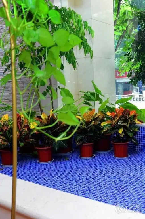Чэнду: Zhengyu Business Hotel