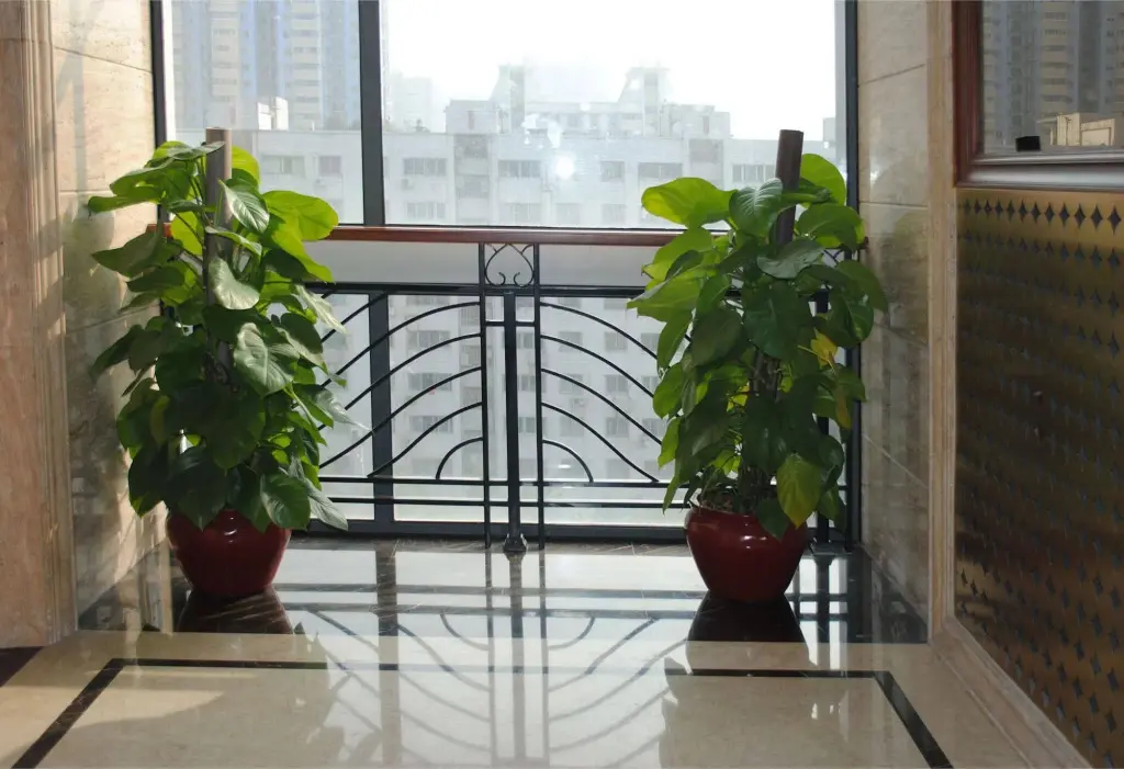Гуанчжоу: Bangtai International Apartment