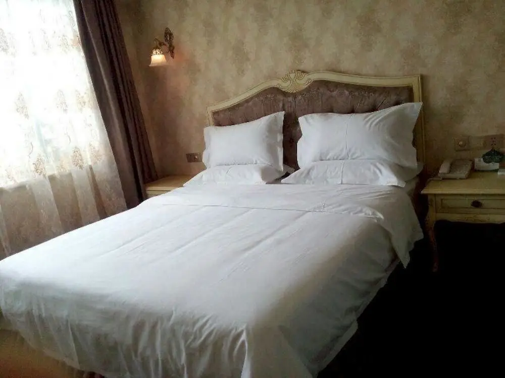 Чэнду: Chengdu Jiali Hotel