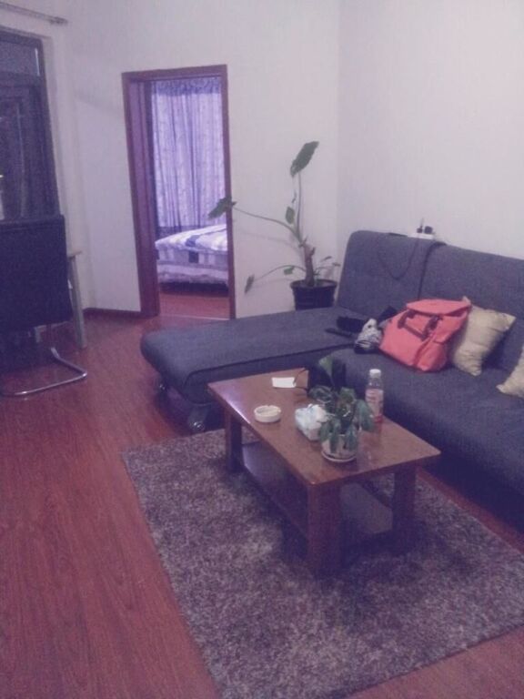 Чэнду: Saiweng Apartment Hotel