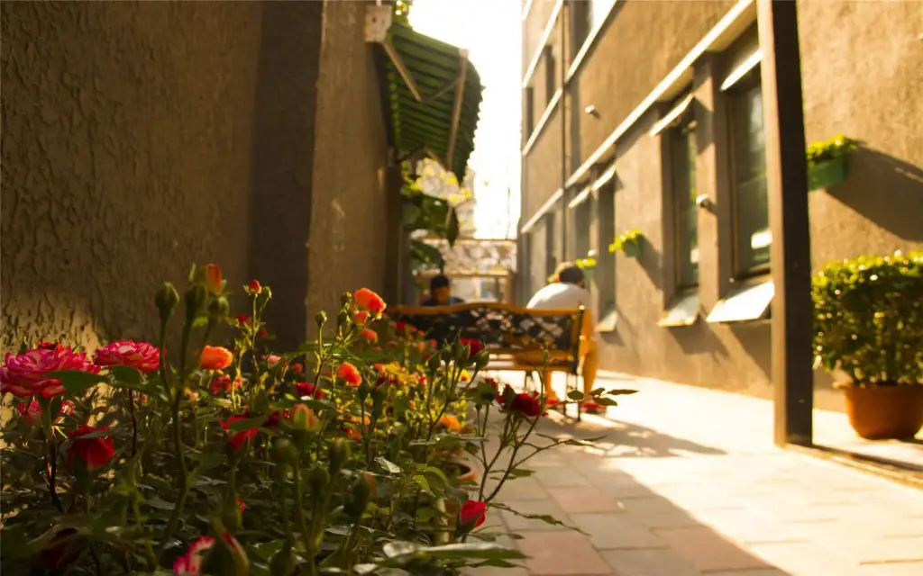 Пекин: Beijing Sunrise Beihai Branch Hostel