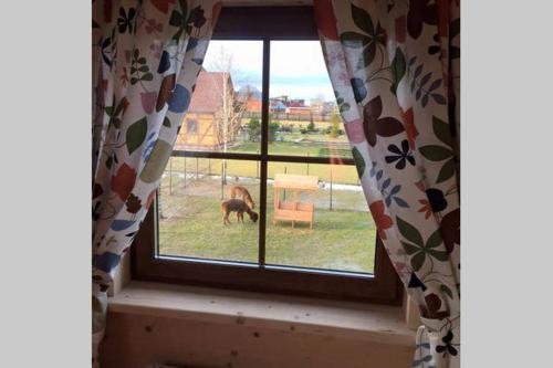 Пронино: Farm House Pronino