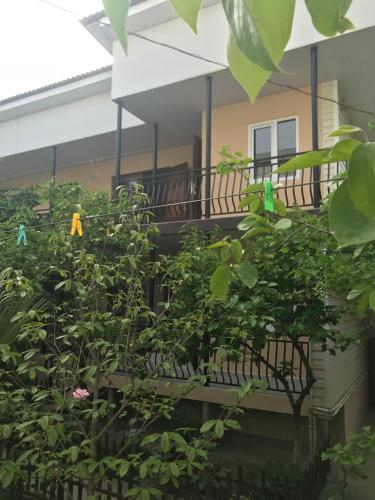Сочи: Guest House Elizaveta
