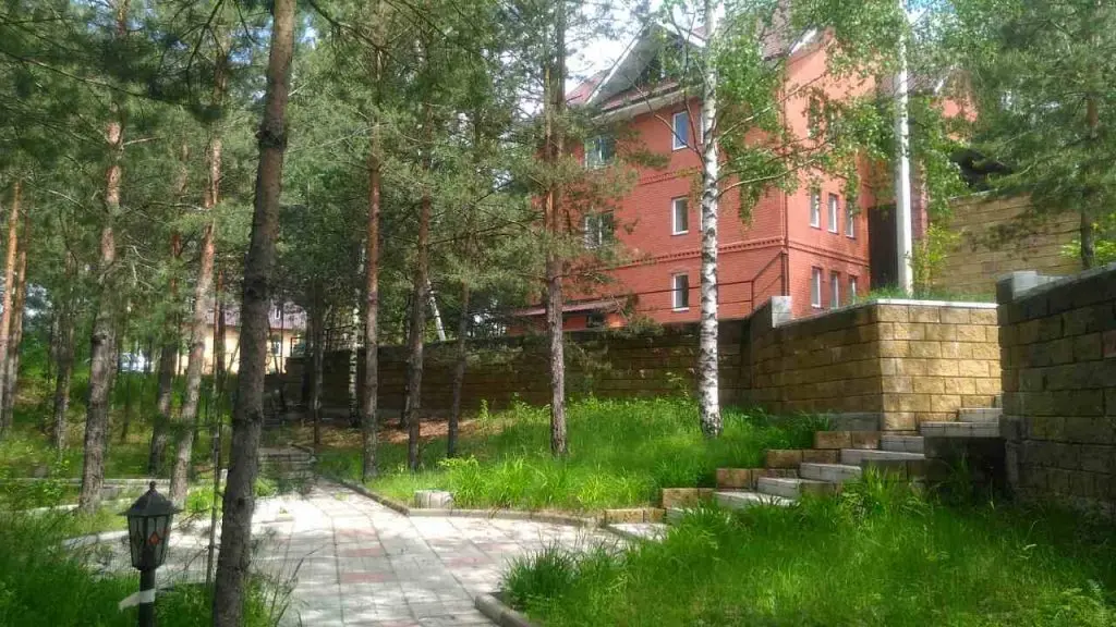 Дядькино: Гостевой дом Сосновая аллея в Дядькино