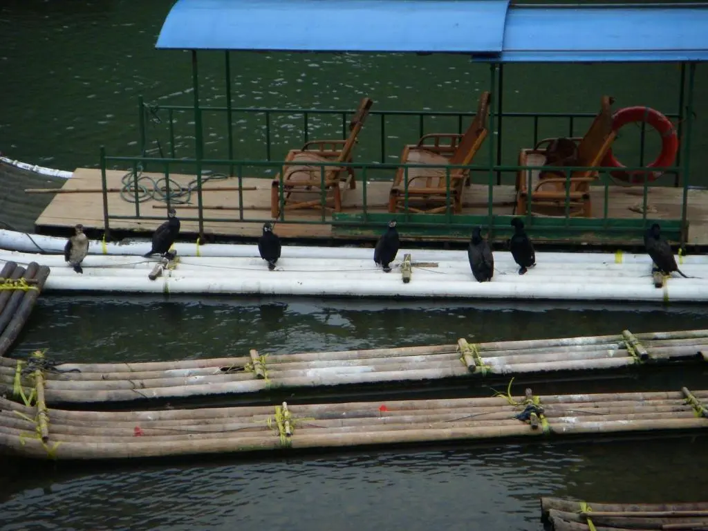 Яншо: Yangshuo Xingping Our Inn