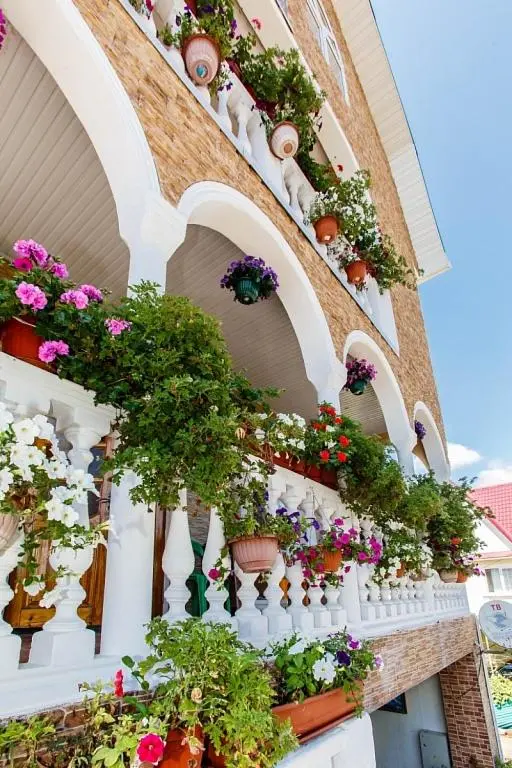 Адлер: Guest House Tsvetochnaya Polyana