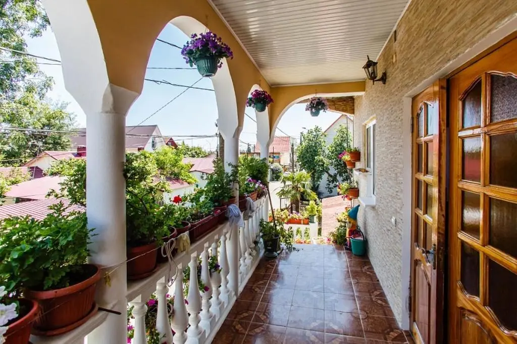 Адлер: Guest House Tsvetochnaya Polyana