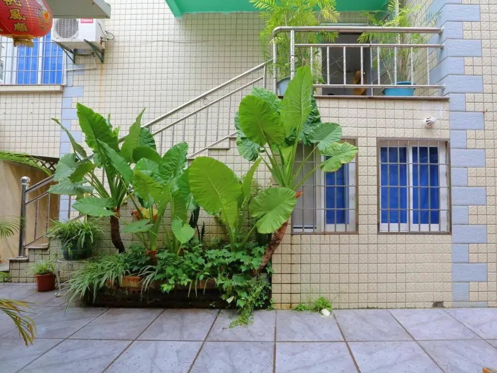 Xiamen 3 Xiamen University Graduates Inn Xiada Branch — фото 1