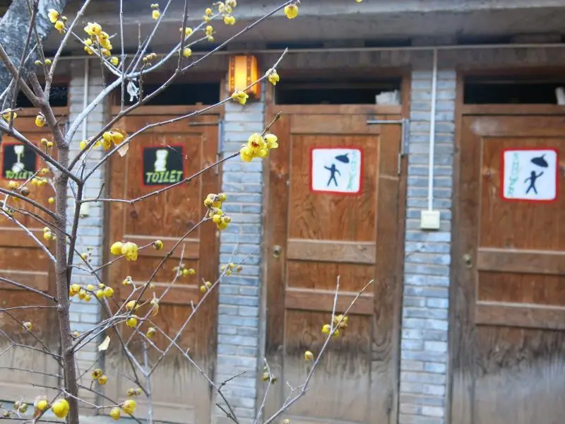 剑川县沙溪马圈46国际青年旅舍 — фото 1