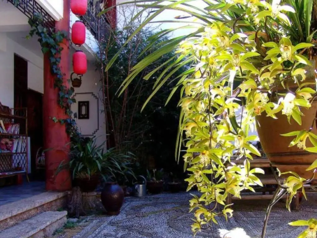 Lijang Shu He Moonriver Inn — фото 1